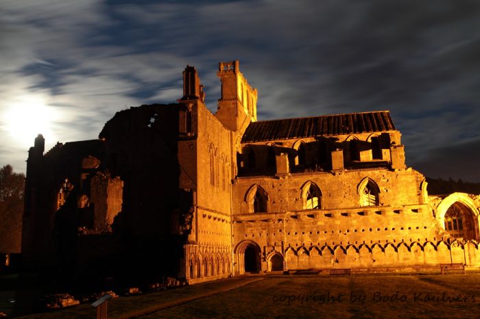 Klicken für Bild in voller Größe